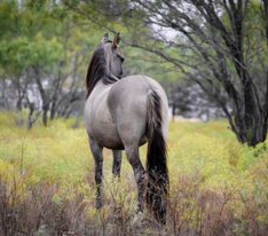 321113365_842259197037431_8718826322329498383_n