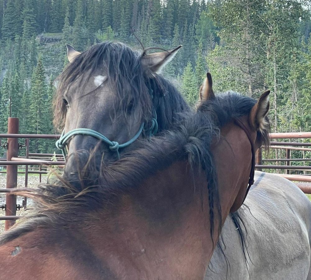 WhatsApp Image 2026-04-19 at 10.02.14 PM