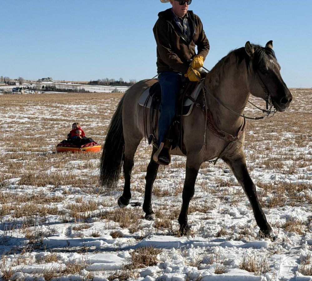 WhatsApp Image 2026-04-19 at 10.02.15 PM