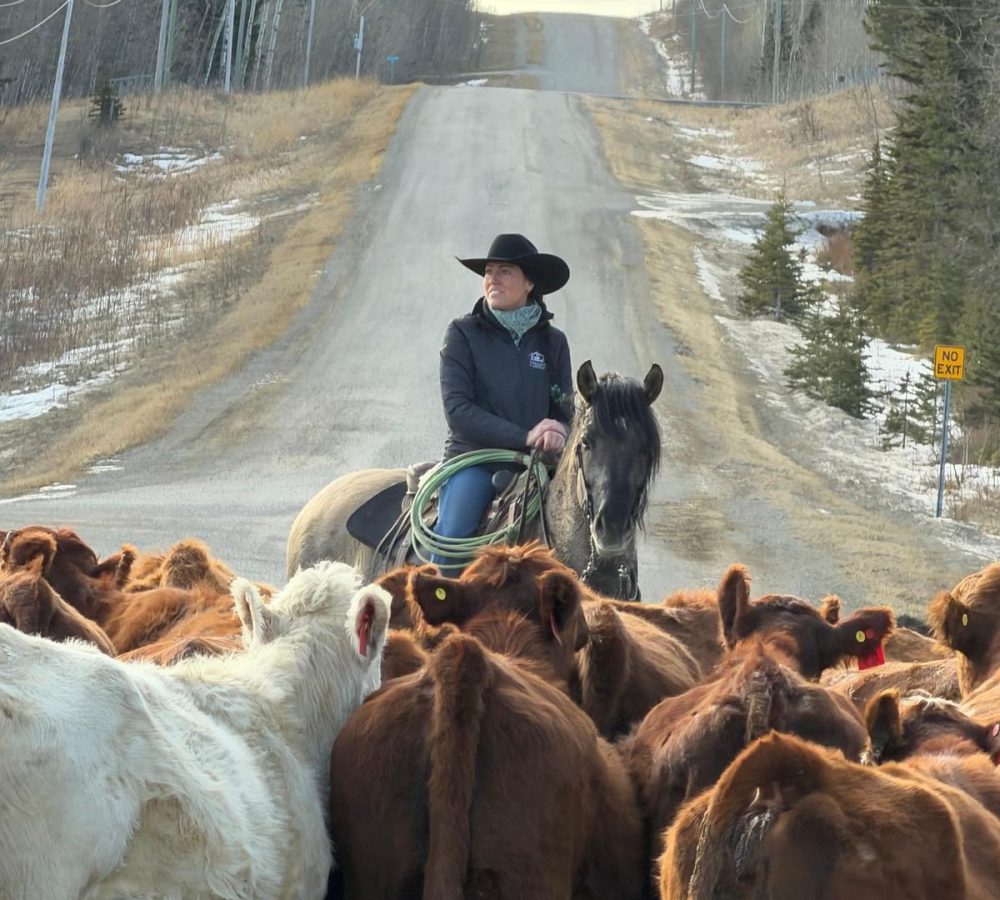 WhatsApp Image 2026-04-19 at 10.02.16 PM