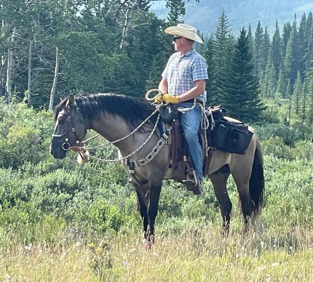 WhatsApp Image 2026-04-19 at 10.02.19 PM