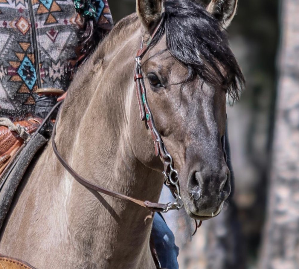 WhatsApp Image 2026-04-19 at 10.02.20 PM