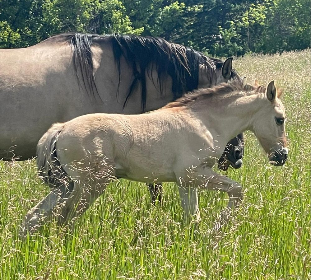 WhatsApp Image 2026-04-19 at 10.02.23 PM