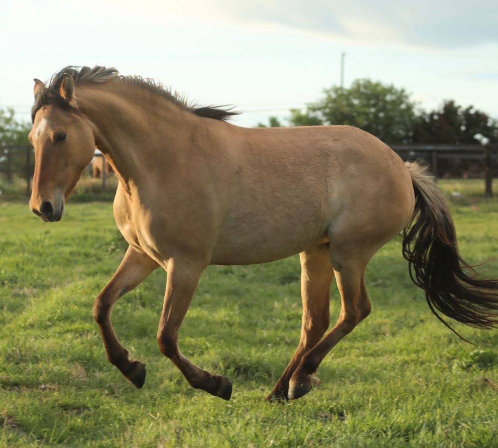 WhatsApp Image 2026-04-19 at 9.32.50 PM