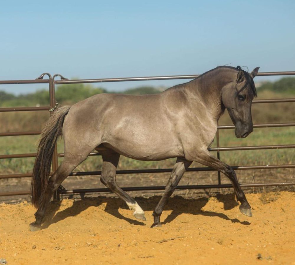 WhatsApp Image 2026-04-19 at 9.34.20 PM