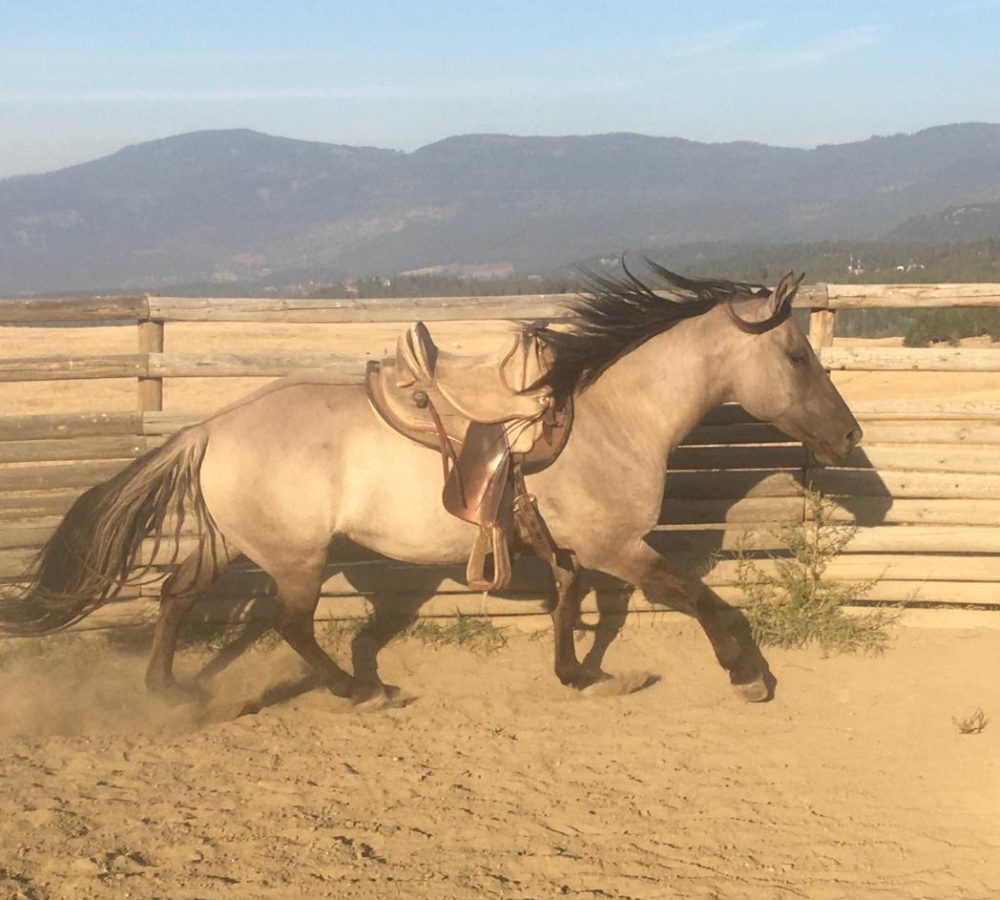 WhatsApp Image 2026-04-19 at 9.40.34 PM (1)