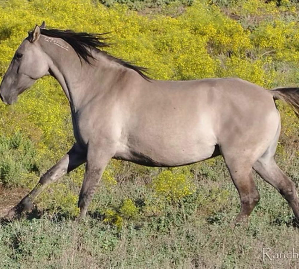 WhatsApp Image 2026-04-19 at 9.41.19 PM