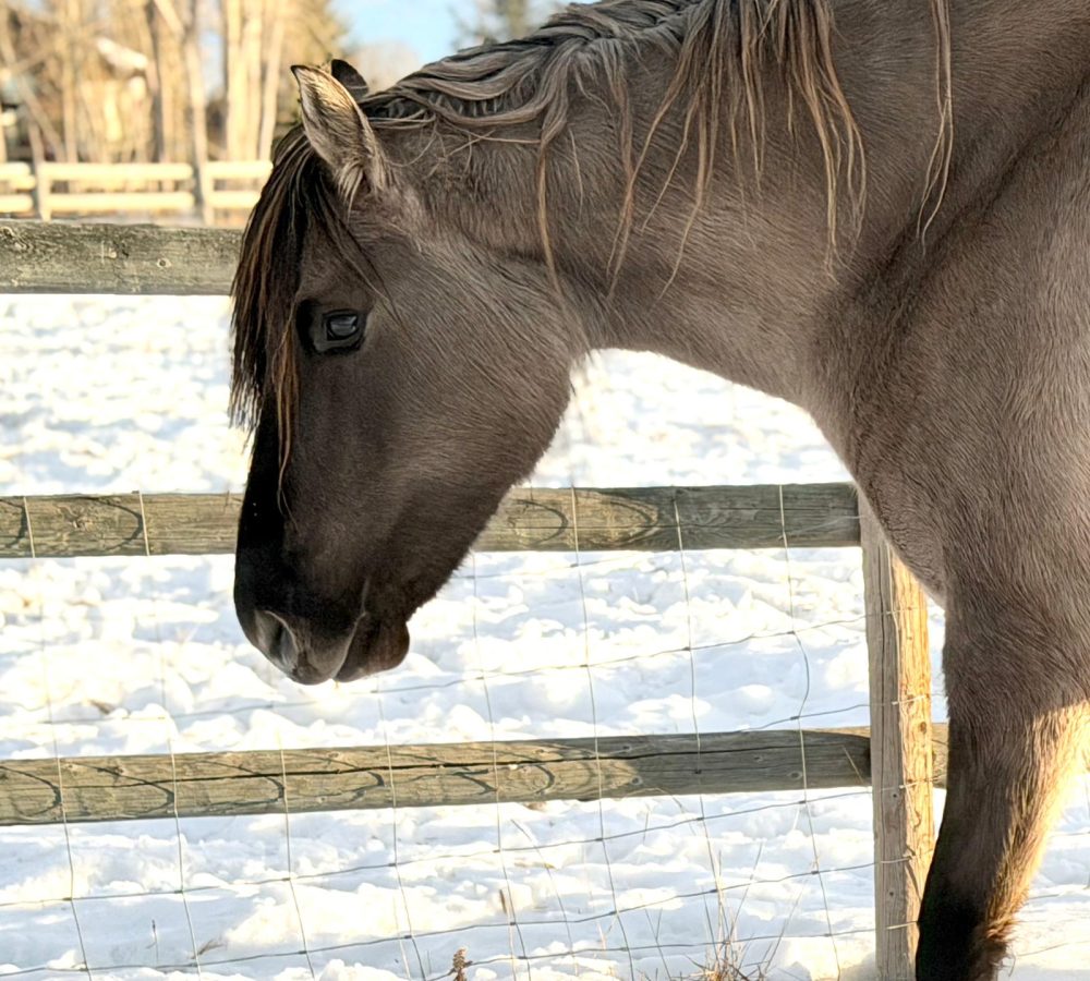 WhatsApp Image 2026-04-19 at 9.59.12 PM